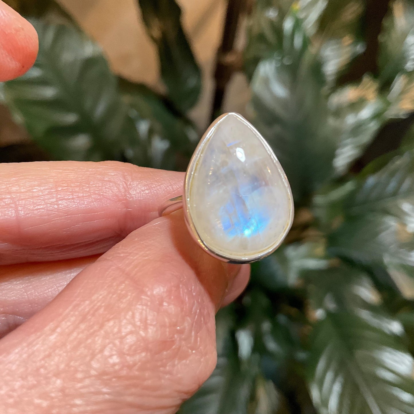 Sterling silver natural moonstone pear shape ring 8 Colors Of Etnika