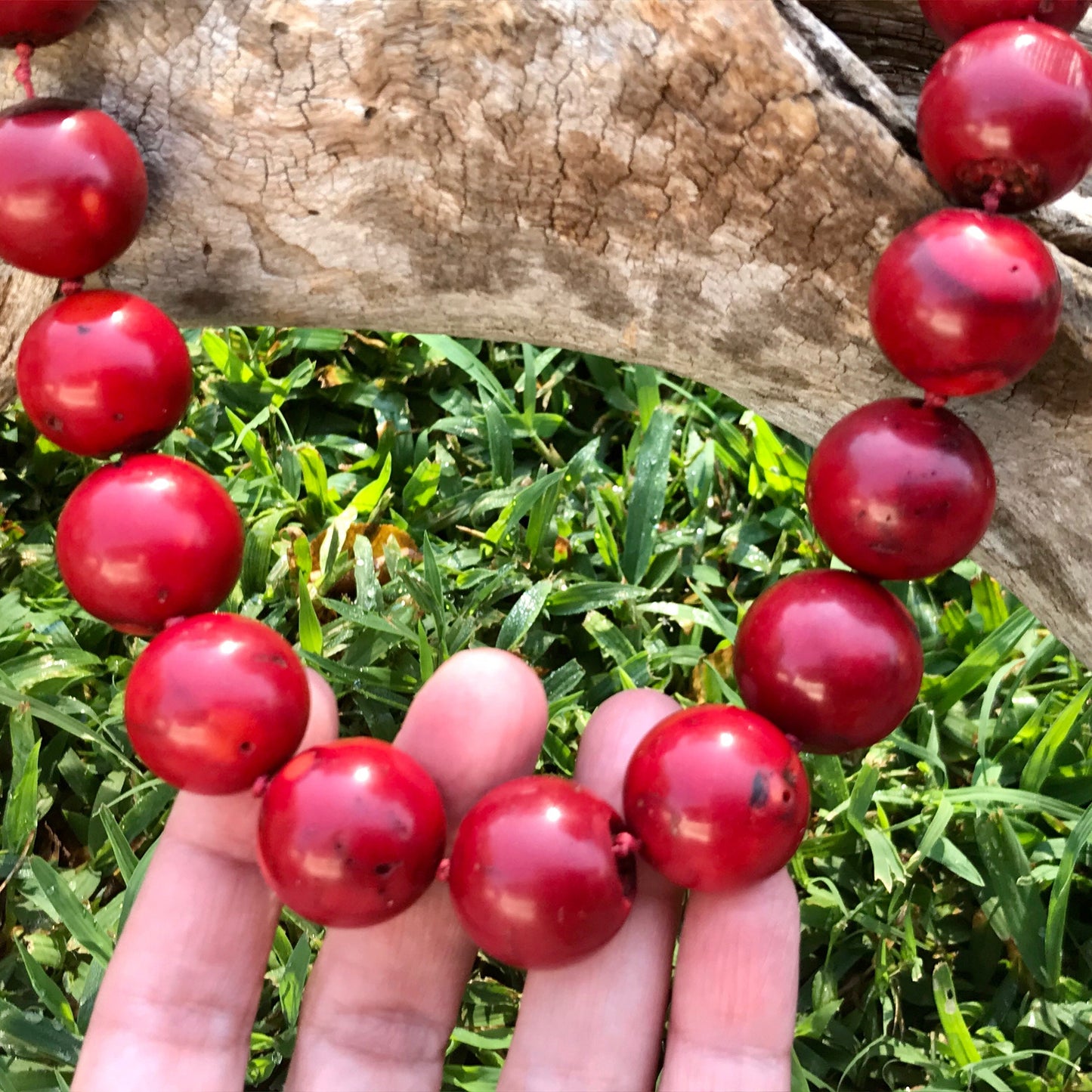 sterling silver Statement Natural Red Coral Oversize Coral bead Necklace Collar