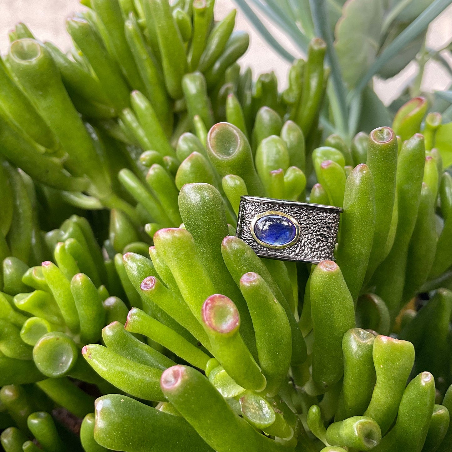 Sterling Silver blue sapphire Etnika band ring 6