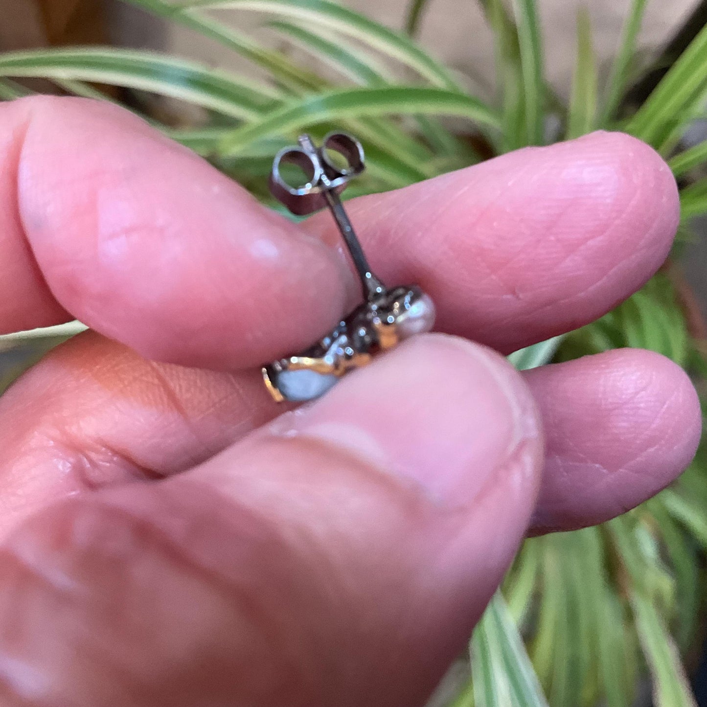 sterling silver  Natural park Larimar Spider stud earrings