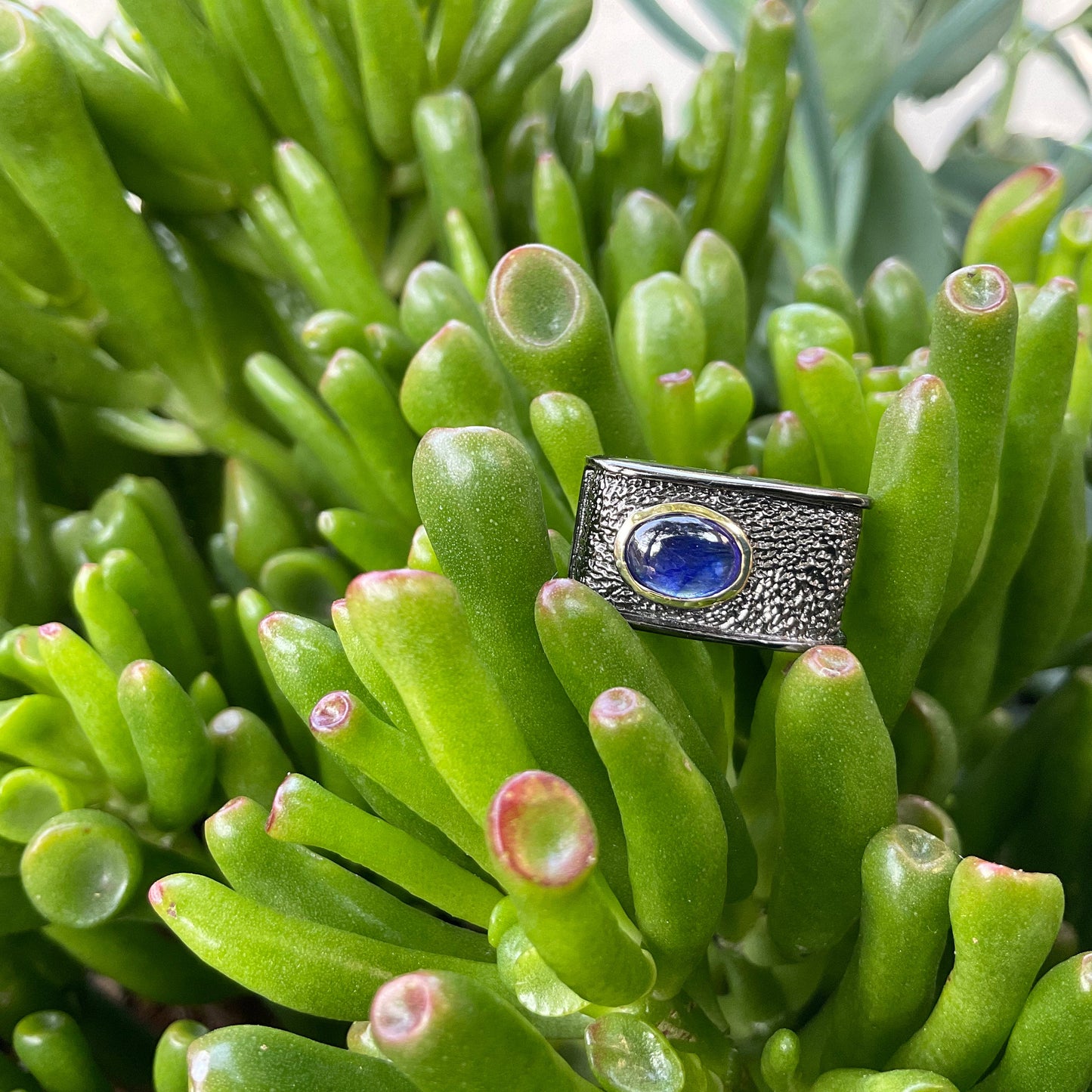 Sterling Silver blue sapphire Etnika band ring 6
